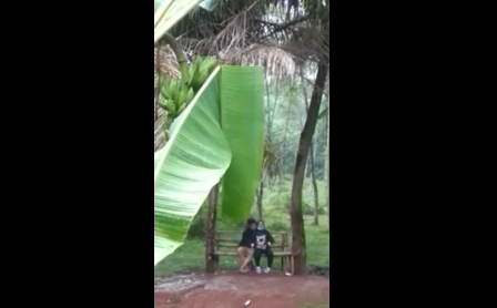 Viral Cewek Pelarian Malam Ke Sudut Kota Unexpected